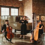 classics and crystals special event Sting Theory quartet